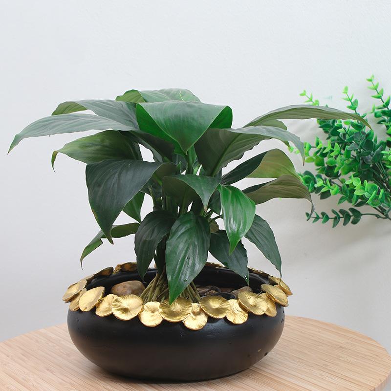 Chậu Cây Resin Chậu trồng sen không lỗ resin cỡ lớn, chậu thủy sinh trồng sen, thủy tiên, trầu bà và rau ban công (RG-130)