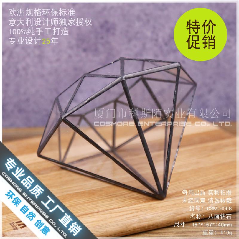 Chậu Đa Giác Nhà kính kim cương 8 mặt châu Âu (DG-199)
