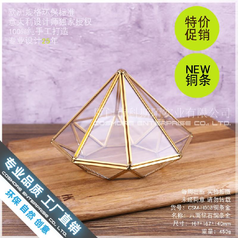 Chậu Đa Giác Nhà kính kim cương 8 mặt, tiểu cảnh rêu (DG-163)