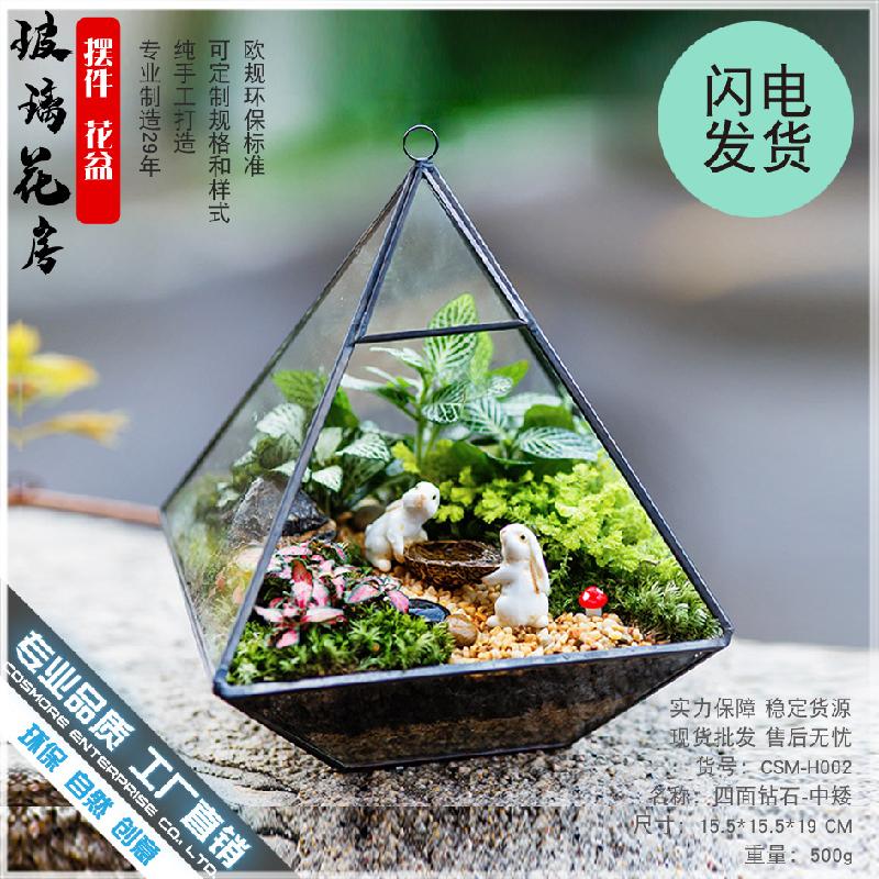 Chậu Đa Giác DG-19 Hộp giỏ kính hoa sống vĩnh viễn cho nội thất gia đình