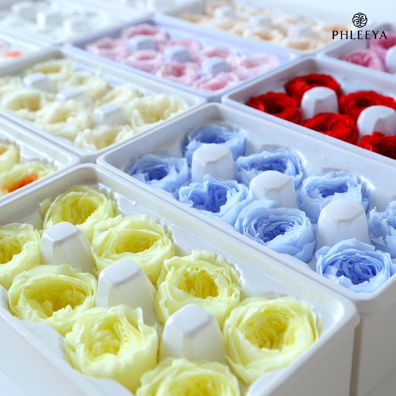 Hoa khô trang trí Hoa hồng Austin vĩnh cửu 8 bông DIY hoa khô quà tặng cao cấp (HK-4)