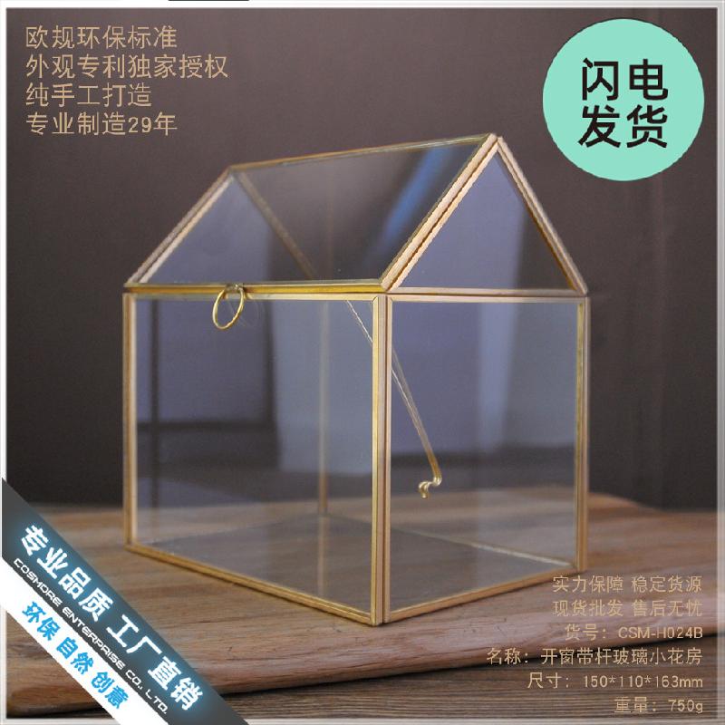 Chậu Đa Giác Nhà kính cửa sổ viền vàng, tiểu cảnh rêu (DG-69)