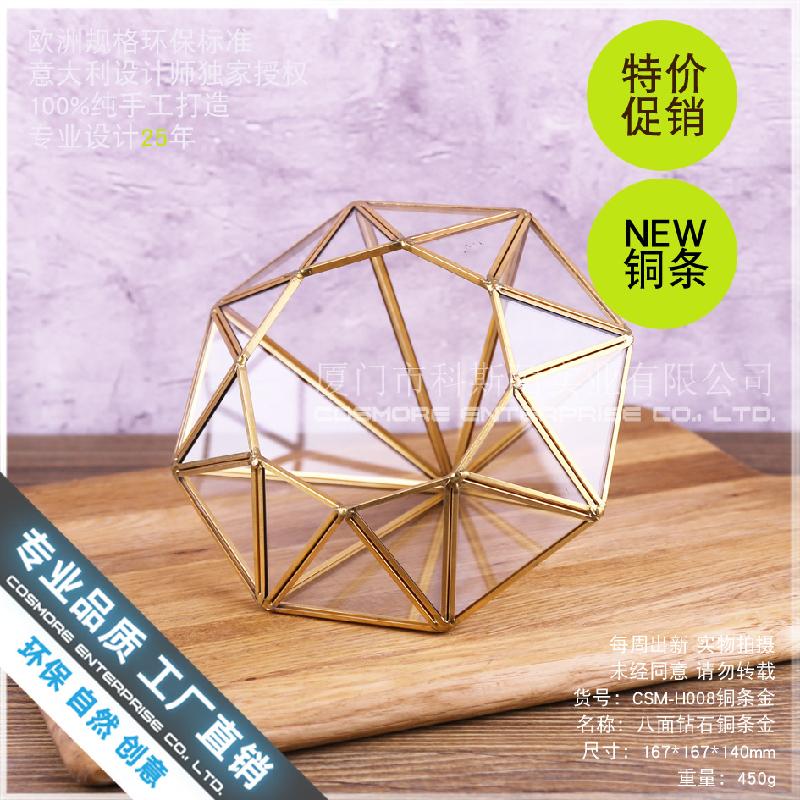 Chậu Đa Giác Nhà kính kim cương 8 mặt, tiểu cảnh rêu (DG-163)