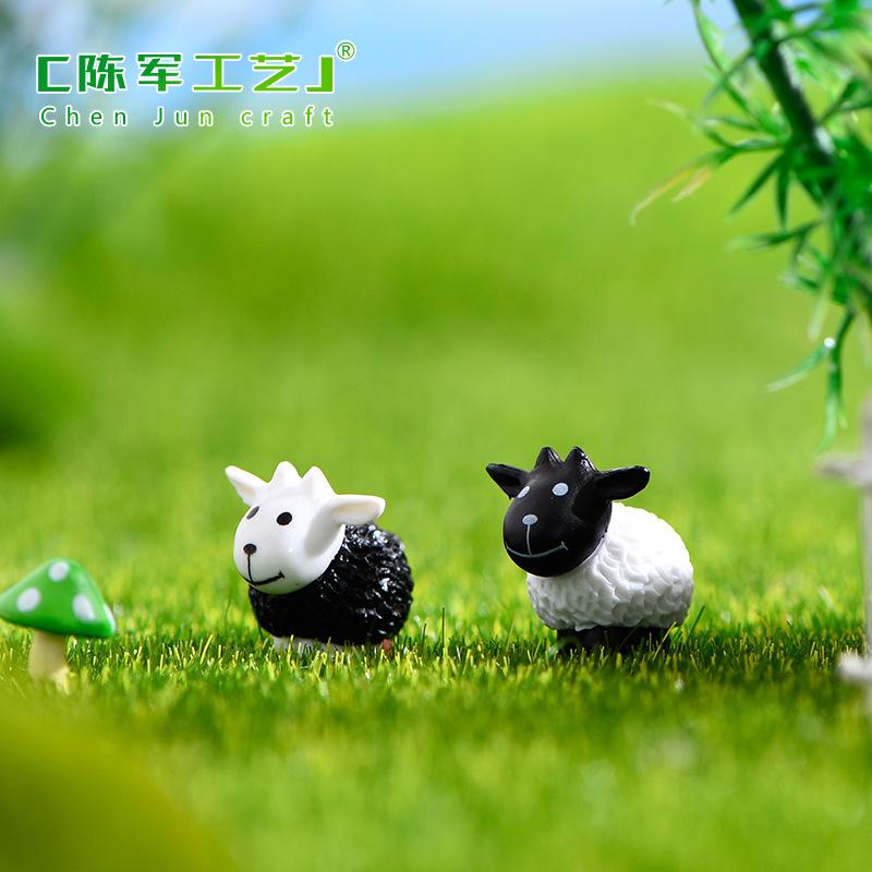 Cừu Đen Và Cừu Trắng (ZC-89)