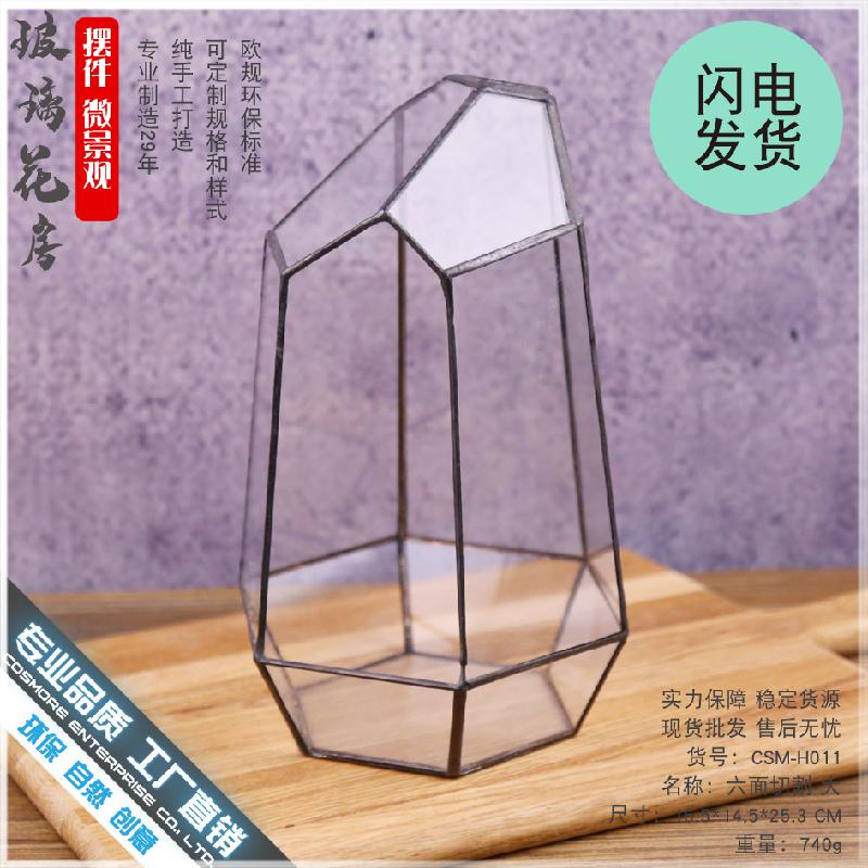 Chậu Đa Giác DG-8 Cây thực vật lá cứng, phòng kính thủy tinh, hộp sinh thái nhỏ, quà tặng sáng tạo và hàng loạt cắt lớn