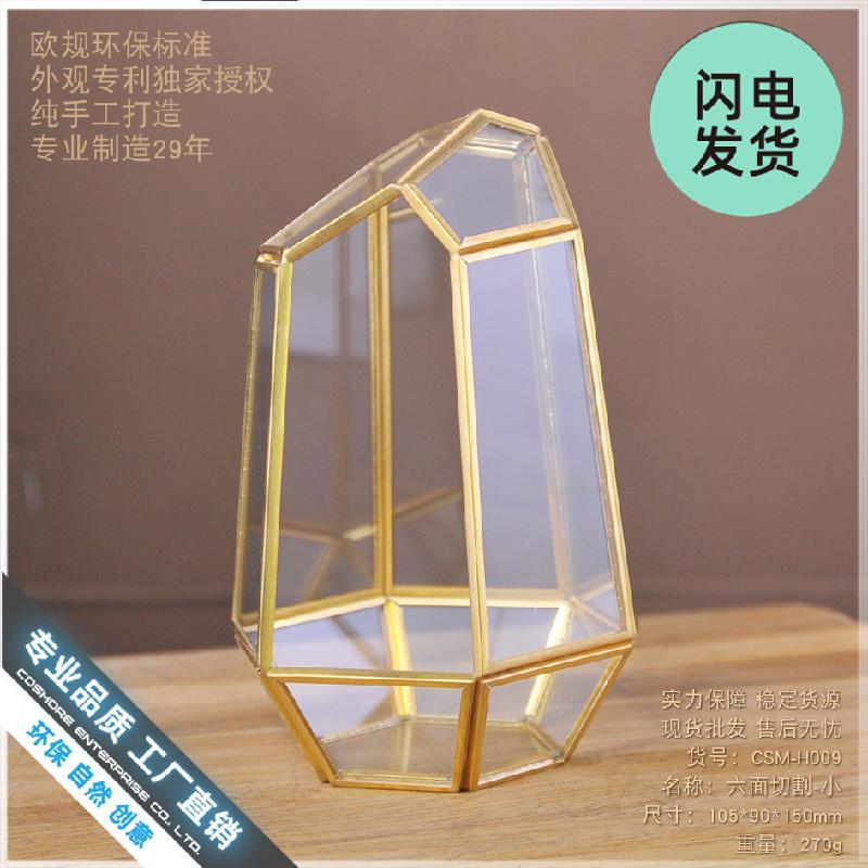 Chậu Đa Giác Nhà kính 6 mặt mini (DG-44)