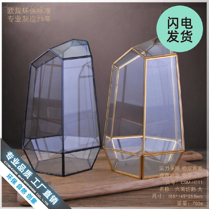 Chậu Đa Giác Bình kính Terrarium rêu cảnh (DG-22)
