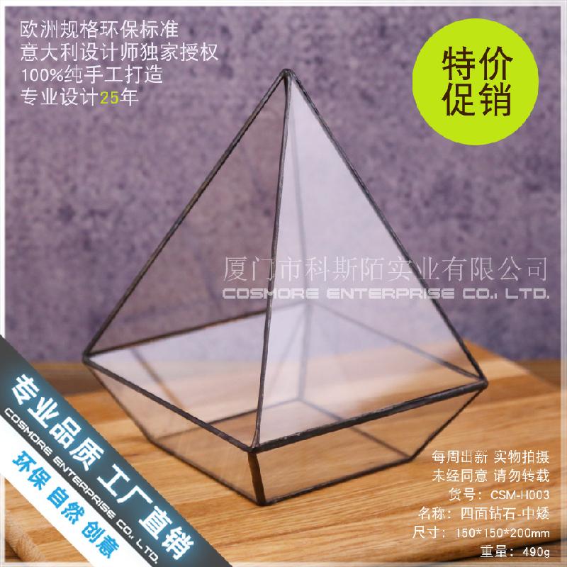 Chậu Đa Giác Nhà kính kim cương 4 mặt, tiểu cảnh rêu (DG-74)