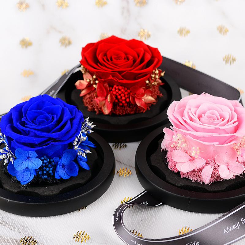 Hoa khô trang trí FY-155