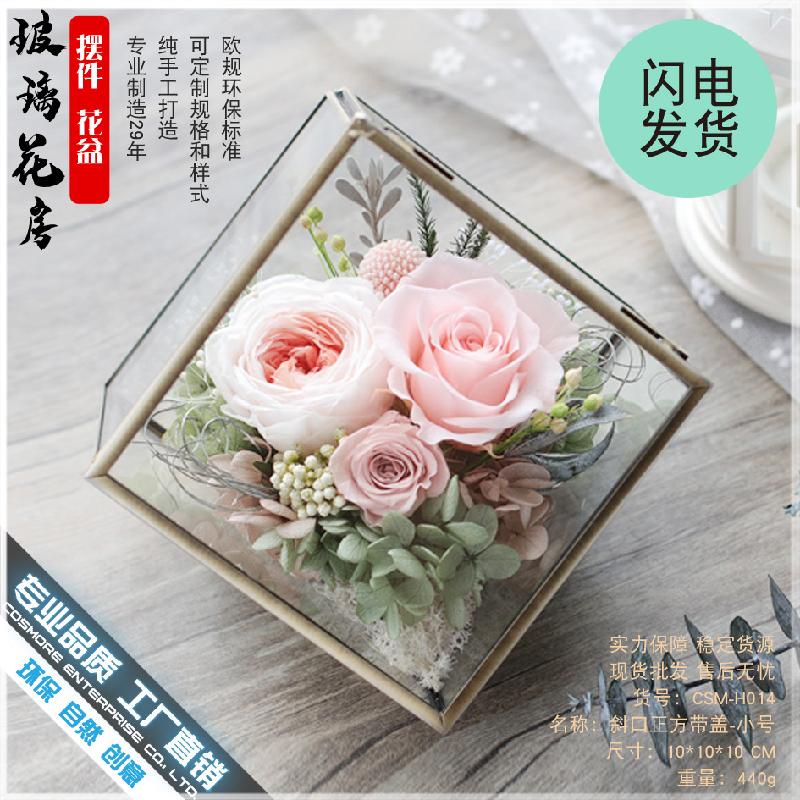 Chậu Đa Giác DG-57 Hoa vĩnh cửu trong kính cối, quà lễ hộp cỏ khô, sáng tạo thảm cỏ, khu vực nhỏ có nắp