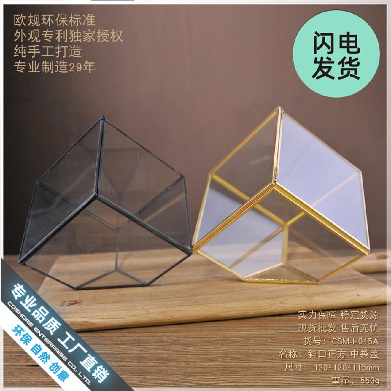 Chậu Đa Giác Nhà kính vuông nghiêng mini (DG-35)
