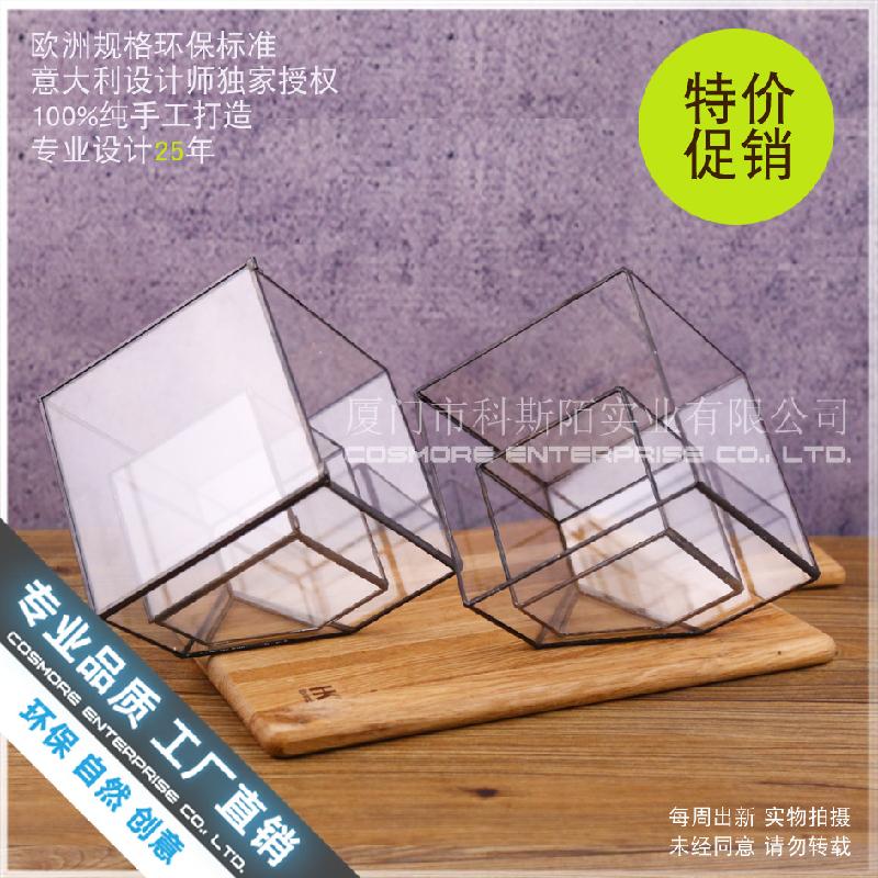 Chậu Đa Giác Nhà kính vuông rêu cảnh (DG-24)