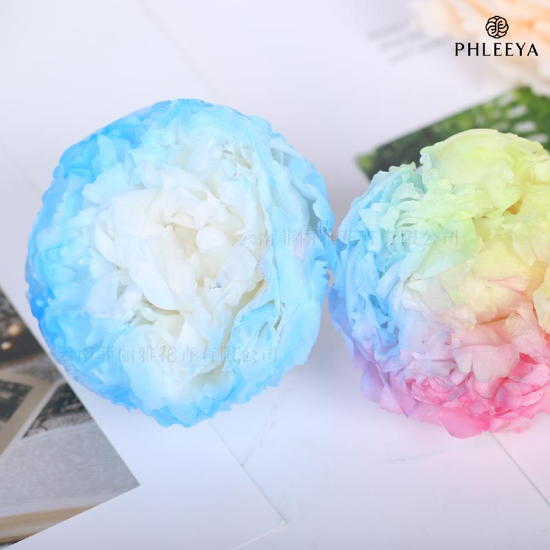 Hoa khô trang trí Hoa mẫu đơn vĩnh cửu 7–8cm 3 bông hạng A DIY hoa trang trí (HK-24)