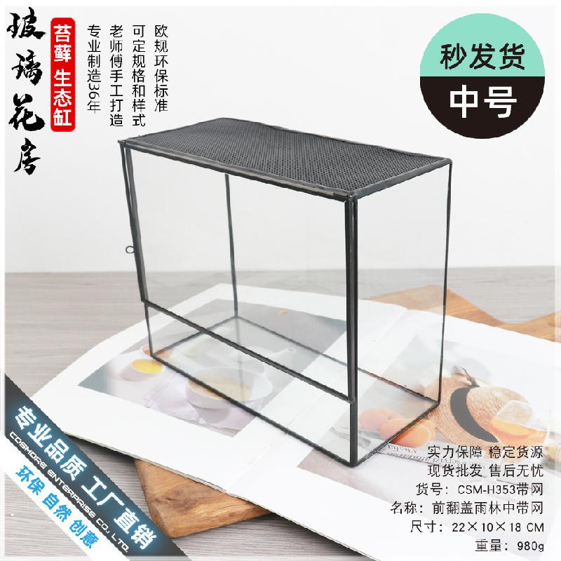 Chậu Đa Giác Nhà kính Terrarium hình học rêu cảnh (DG-11)