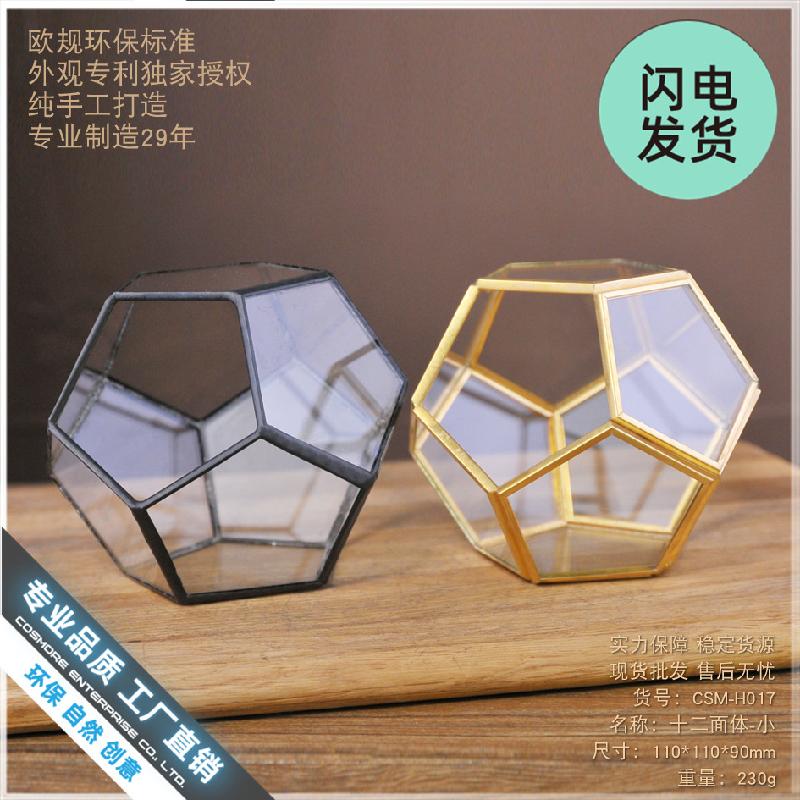 Chậu Đa Giác Nhà kính 12 mặt Terrarium sen đá (DG-229)