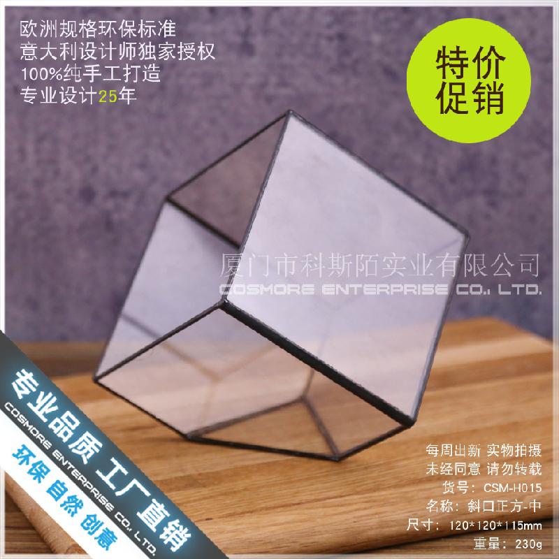 Chậu Đa Giác Nhà kính vuông Terrarium hoa bất tử (DG-227)