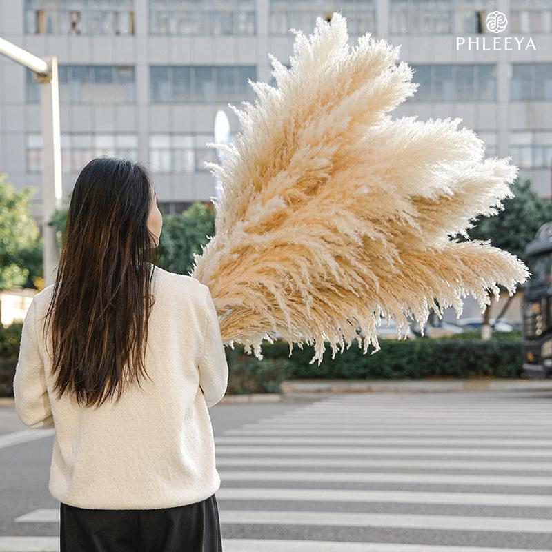 Hoa khô trang trí Cỏ lau Pampas khô bó hoa trang trí cưới phong cách châu Âu (HK-61)