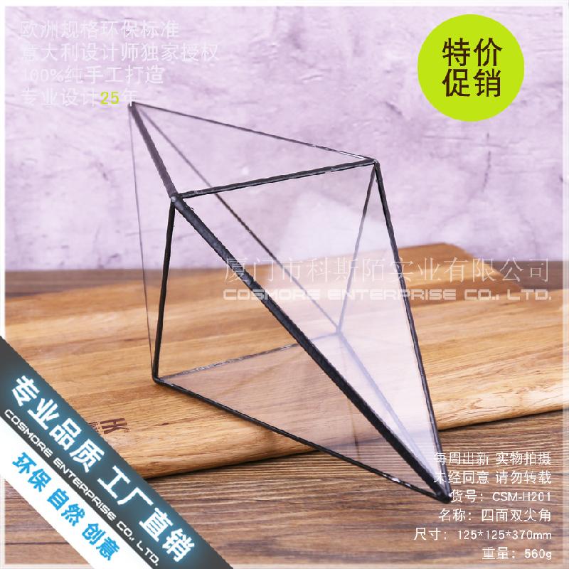 Chậu Đa Giác Bình sinh thái rêu cảnh DIY, chậu cây mini (DG-164)