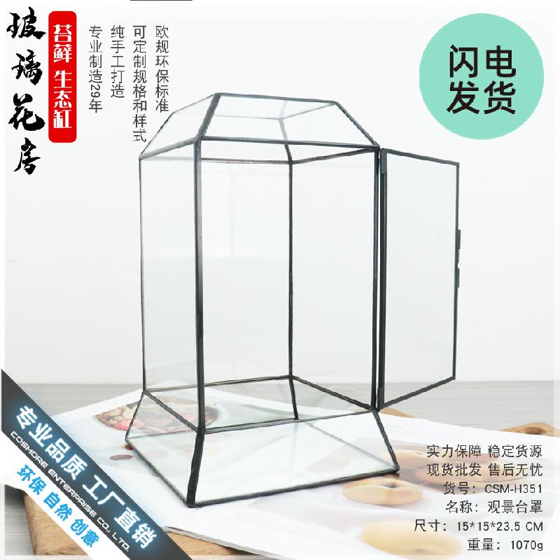 Chậu Đa Giác Bình sinh thái rêu cảnh DIY, bể rừng mini (DG-75)