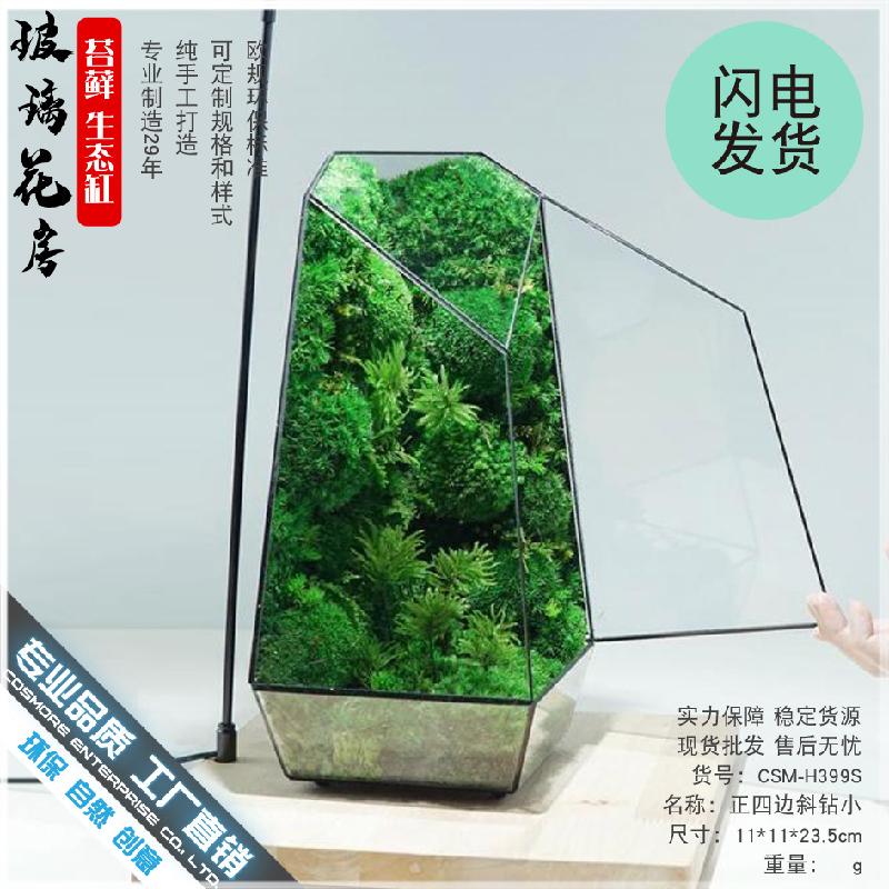 Chậu Đa Giác DG-1 Bình hoa hữu cơ sinh thể tế bào thảo mộc micro-landscape