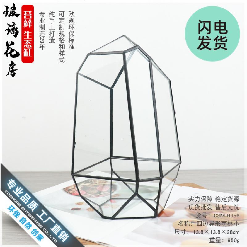 Chậu Đa Giác Bể Terrarium rừng mưa mini (DG-45)