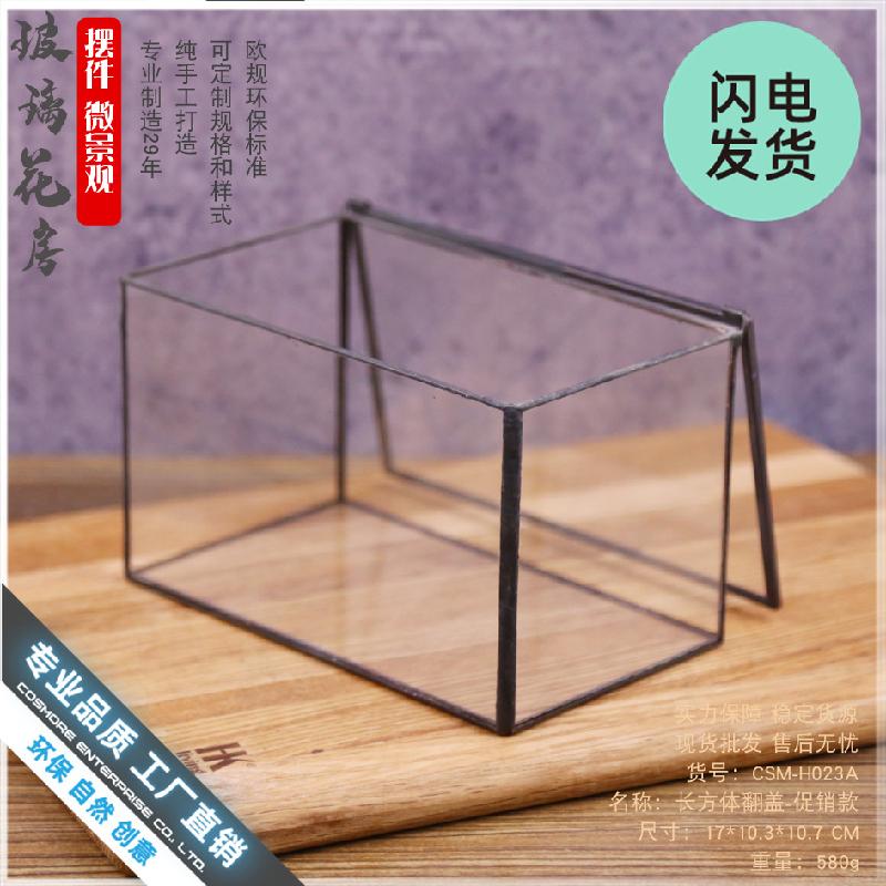 Chậu Đa Giác Bình sinh thái rêu cảnh mini (DG-3)