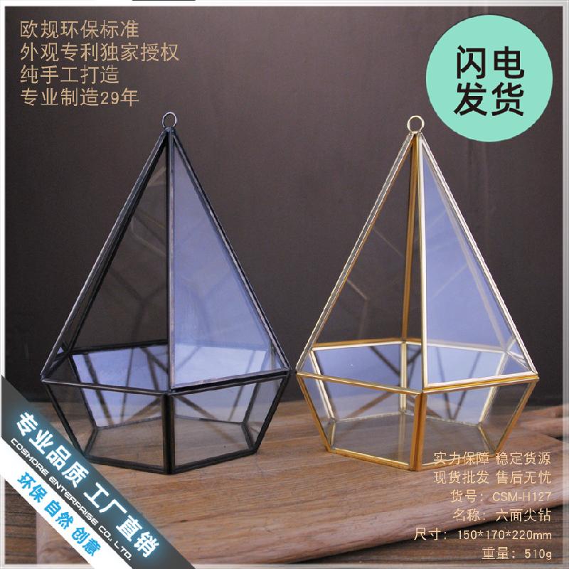 Chậu Đa Giác Nhà kính hình học hoa khô, hoa bất tử decor (DG-129)