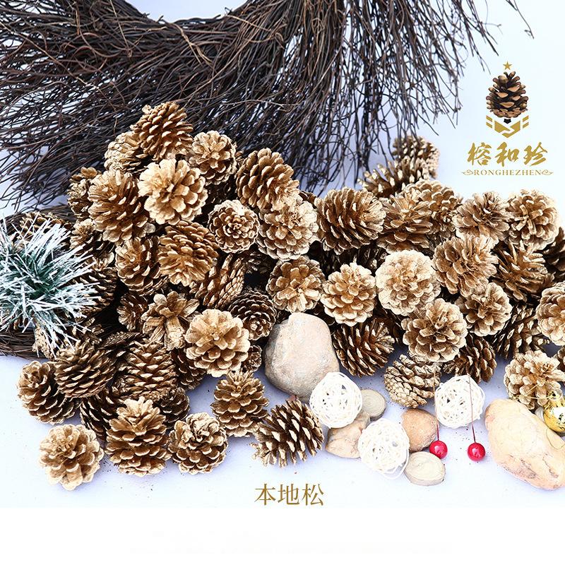 Trang Trí Noel Trang trí Noel: Quả thông vàng, quả nhuộm và quả linh sam