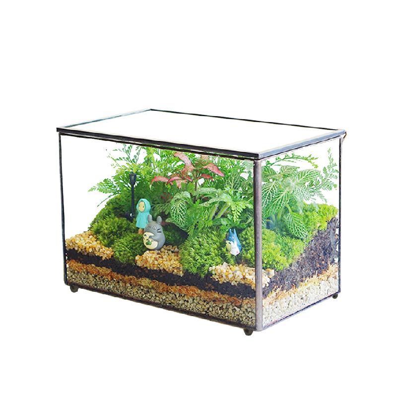 DG-52 Hộp kính hình hộp chữ nhật có kính cao với phong cảnh nhỏ của hoa bền vững và thảo mộc