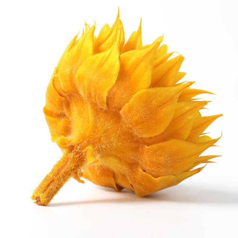 Hoa khô trang trí FY-37