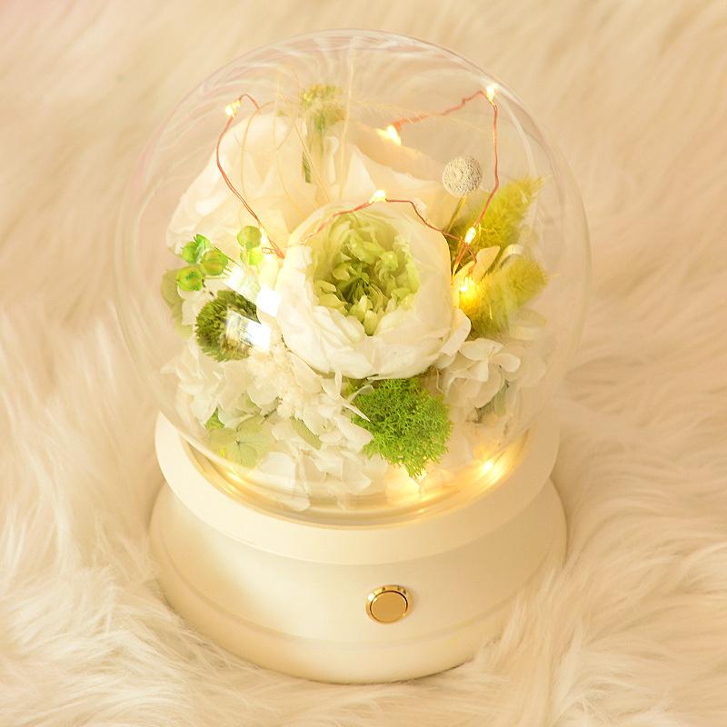 Hoa khô trang trí FY-99