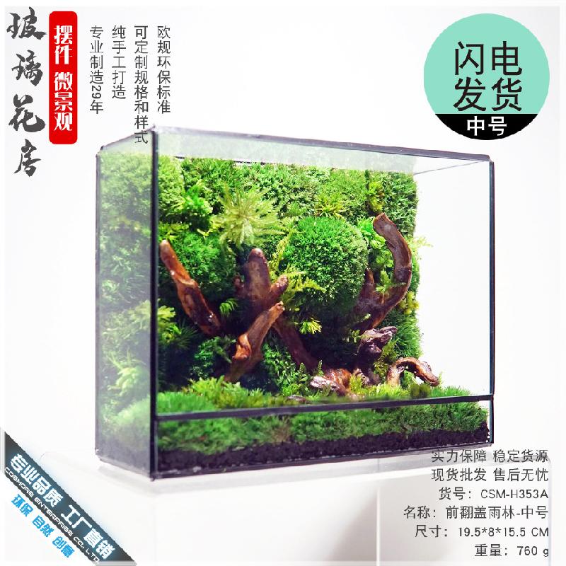 Chậu Đa Giác DG-18 Các bức tranh rừng kính hoa phòng để trang trí thiên nhiên