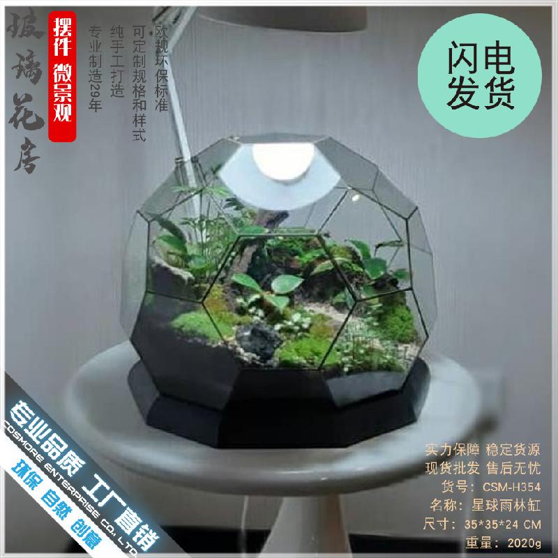 Chậu Đa Giác 微景观雨林玻璃罩几何花房装饰摆件办公室造景生态瓶星球形花器皿