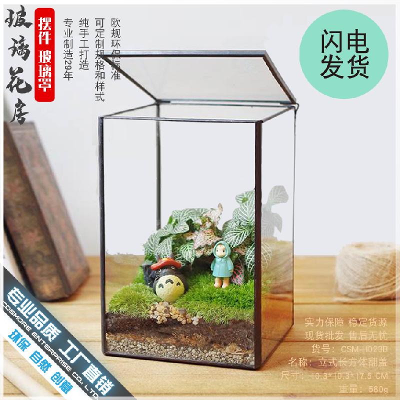 Chậu Đa Giác DG-7 Hộp kính hình lập phục vụ cây thực vật tảo, cảnh quan nhỏ không định hình