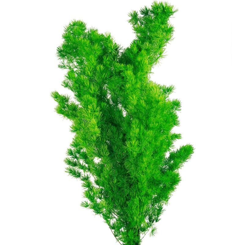 Hoa khô trang trí FY-39