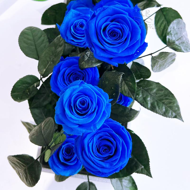 Hoa khô trang trí FY-141