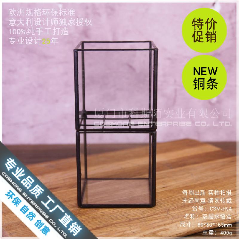 Chậu Đa Giác Bình hoa kính thủy canh mini (DG-40)