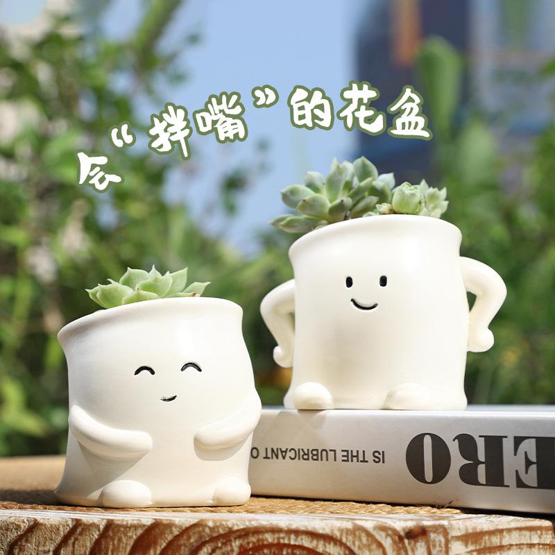 Chậu Cây Resin Chậu cây mọng nước resin hình nhân vật vui nhộn, chậu mini trang trí ban công, bàn làm việc (RG-7)