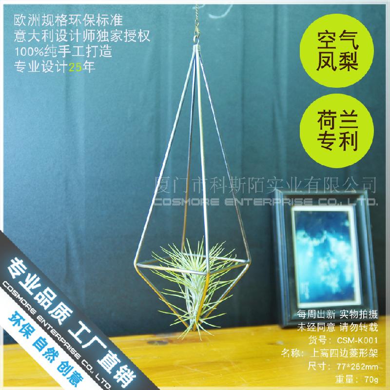 Chậu Đa Giác Nhà kính hình thoi, chậu cây không khí (DG-173)