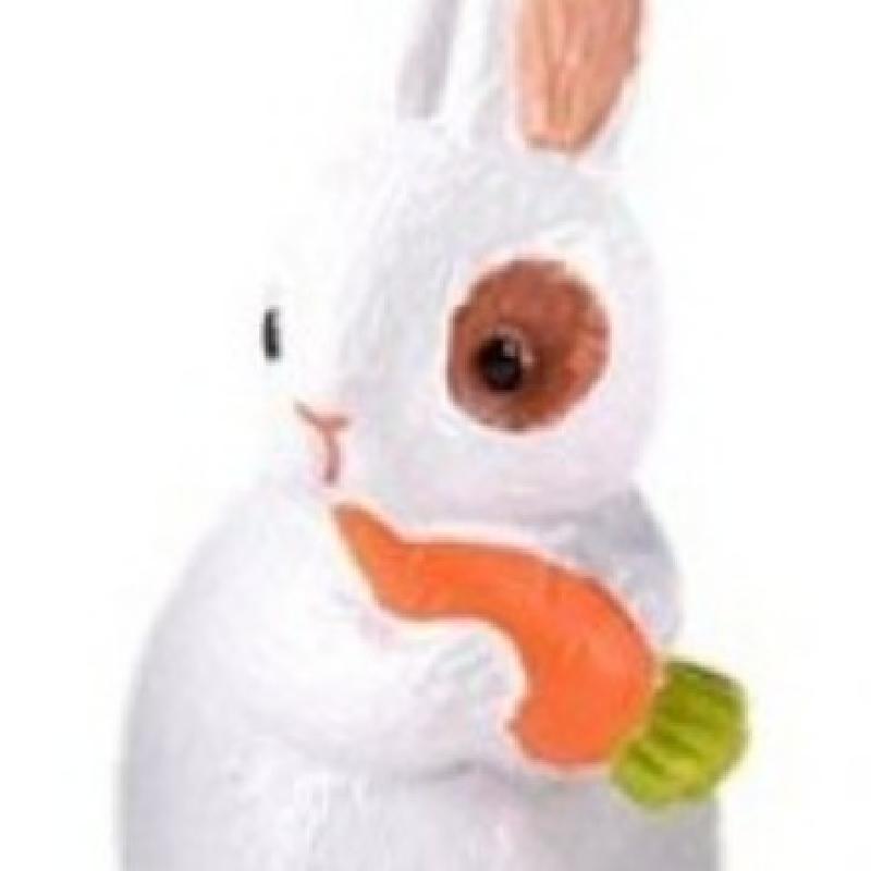 Tiểu cảnh thỏ màu hồng và trắng, phụ kiện trang trí cây cảnh mini (ZC-609)