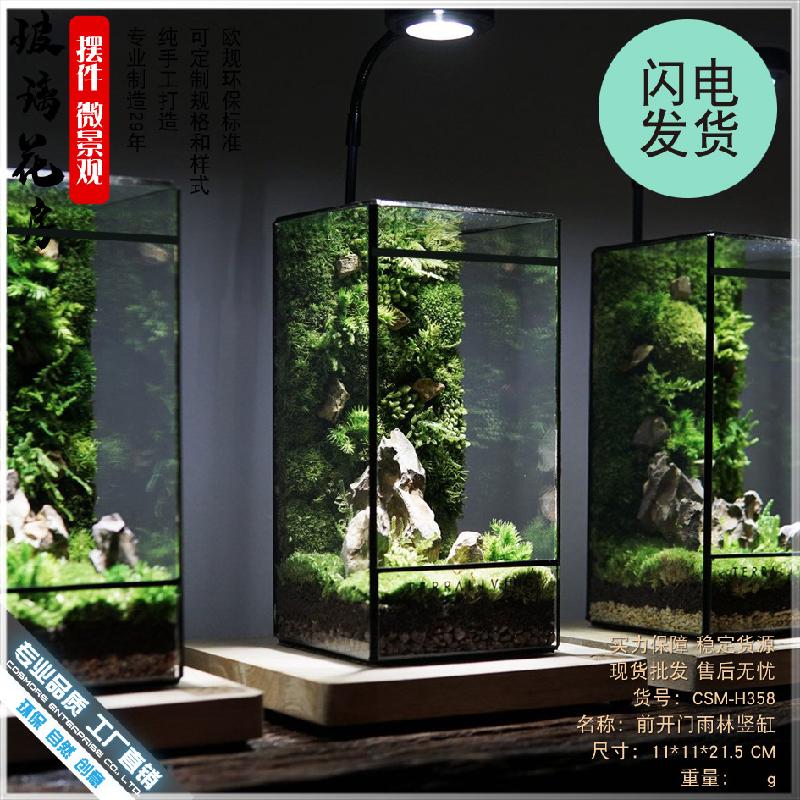 Chậu Đa Giác 几何玻璃花房小型客厅生态桌面造景缸迷你雨林盒苔藓微景观水草缸