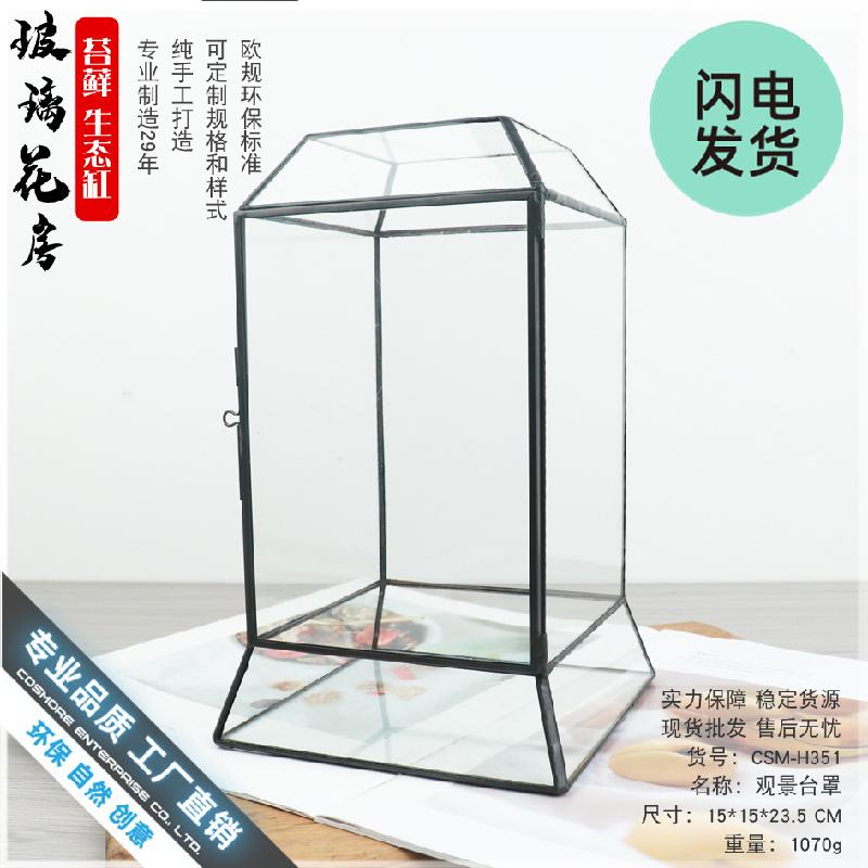 Chậu Đa Giác Bình sinh thái rêu cảnh DIY, bể rừng mini (DG-75)