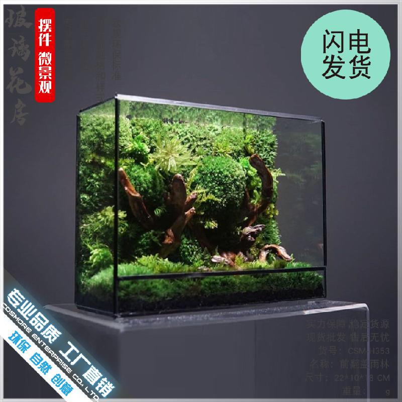 Chậu Đa Giác DG-13 Không gian nhỏ hình học kính hoa, tường mầm non kính, hộp kính, bàn mặt, chai sinh thái, cảnh quan thụy lợi nhỏ