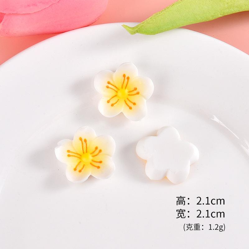 白色五瓣花