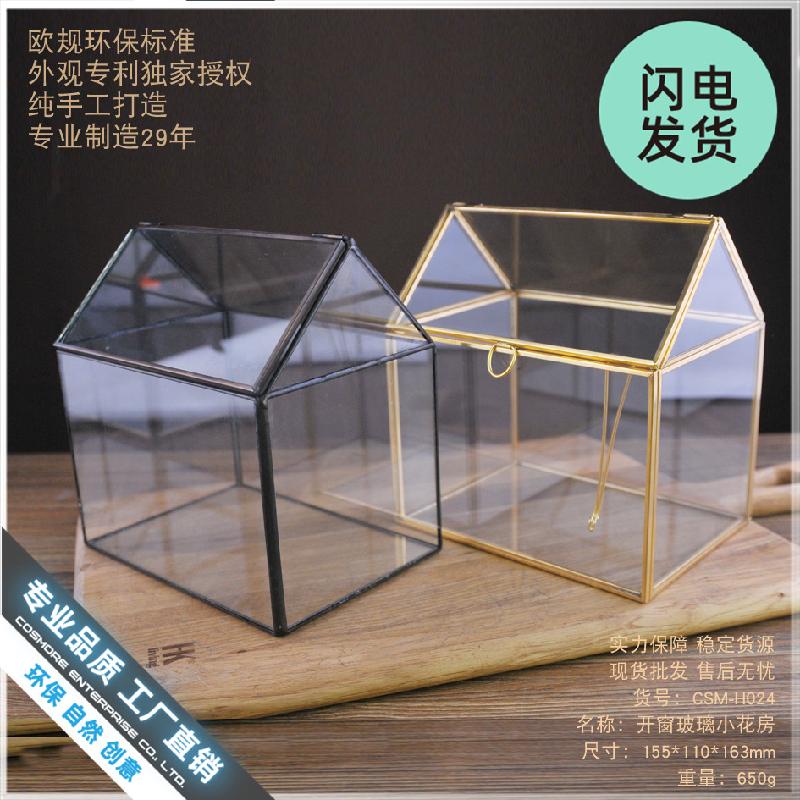 Chậu Đa Giác Bể kính tạo cảnh rừng mini (DG-9)