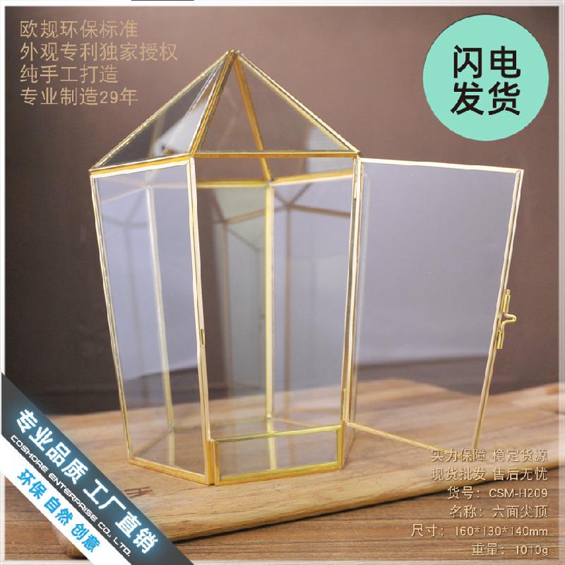 Chậu Đa Giác Nhà kính hình học, hộp hoa bất tử, Terrarium (DG-111)