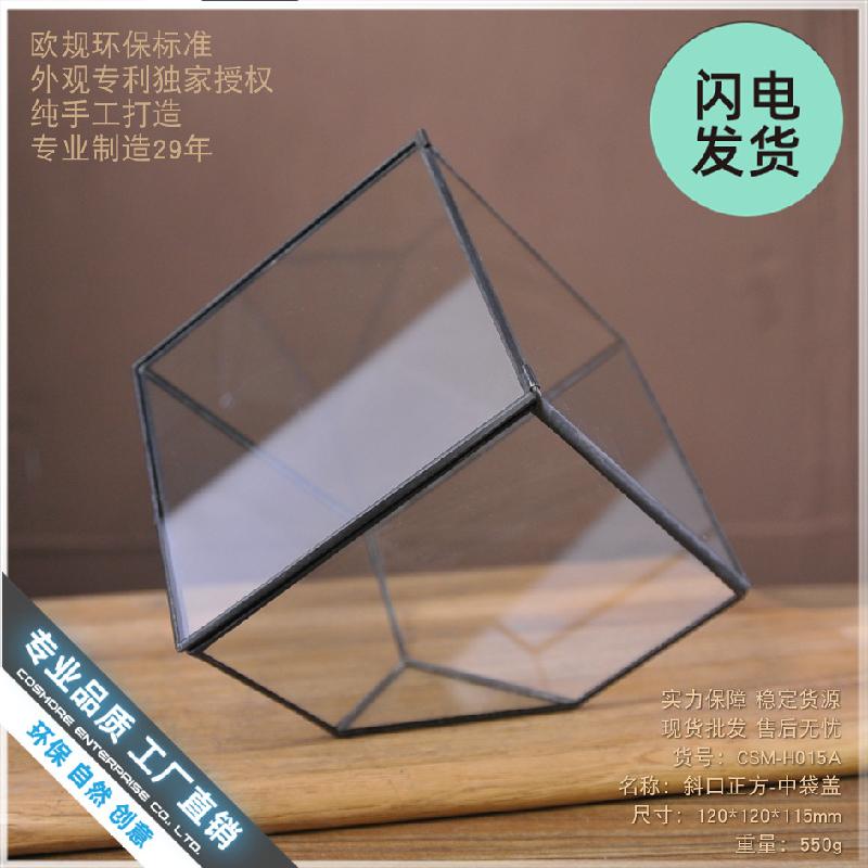 Chậu Đa Giác Nhà kính vuông nghiêng mini (DG-35)