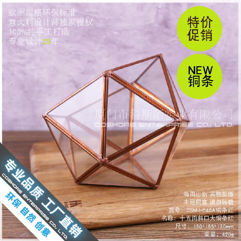 Chậu Đa Giác Nhà kính 15 mặt viền đồng, hoa bất tử (DG-166)