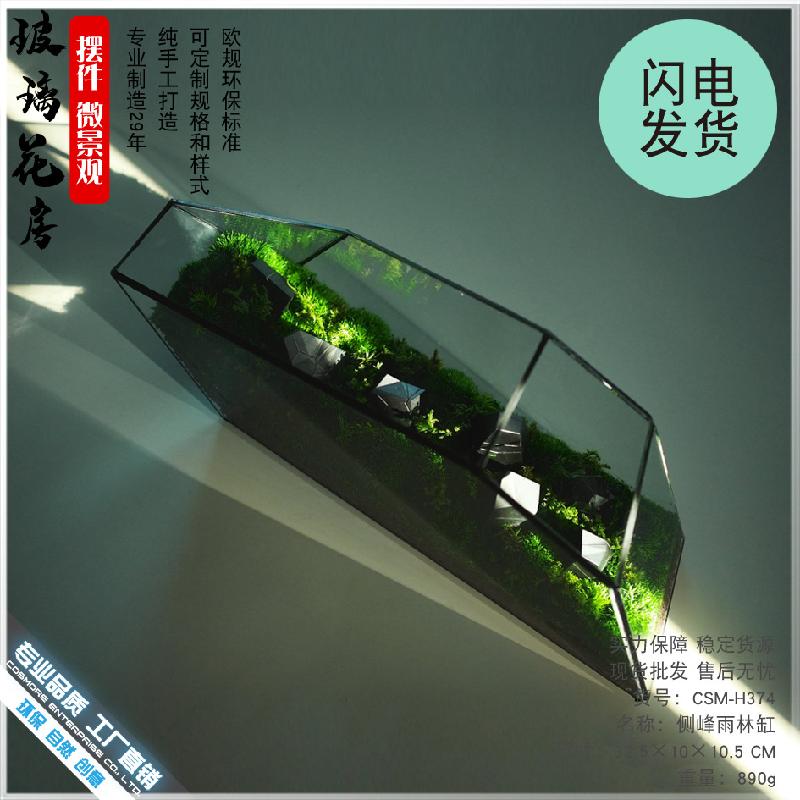 Chậu Đa Giác 苔藓微景观玻璃花房器皿生态雨林缸造景流水植物墙花盆器鱼玻璃罩