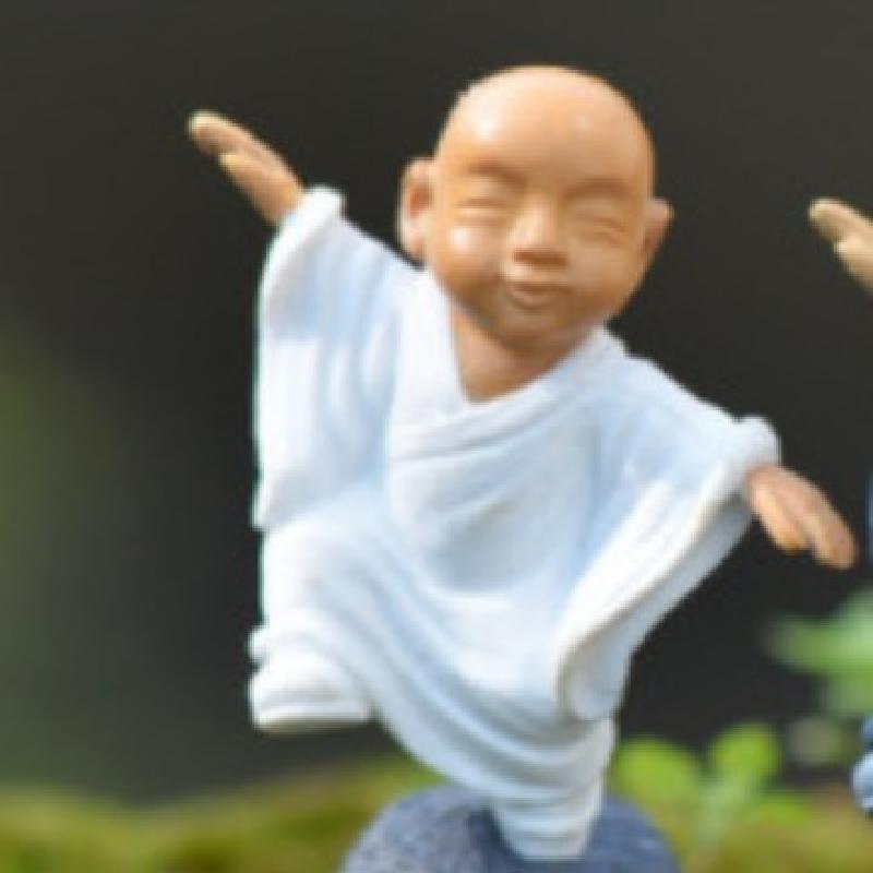 Tiểu cảnh chú tiểu DIY, phụ kiện tiểu cảnh mini chậu cây, đa giác DIY, đáng yêu (ZC-980)